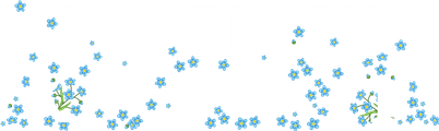 Brodersens Regnskab